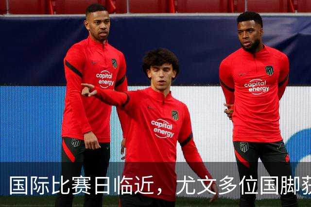 国际比赛日临近，尤文多位国脚获征召，仅1人入选意大利男足